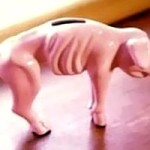 Ο κοινωνικός αντίκτυπος της οικονομικής κρίσης